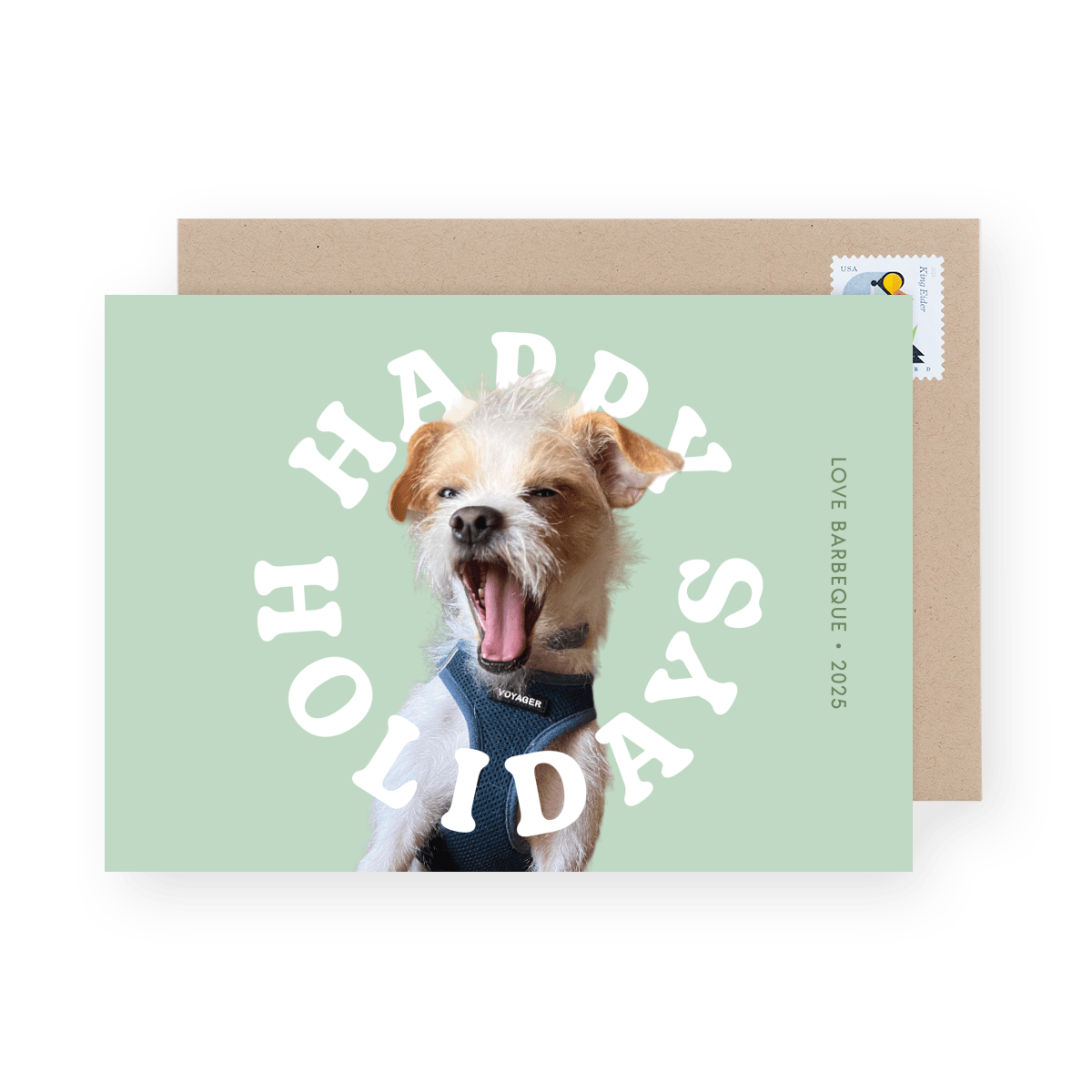 All Around Holiday Pets