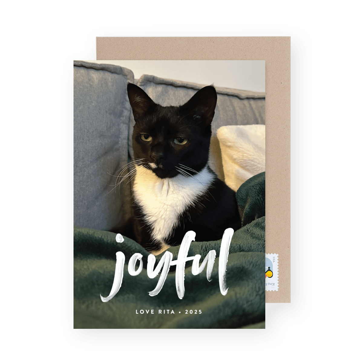 Pets Painterly Message