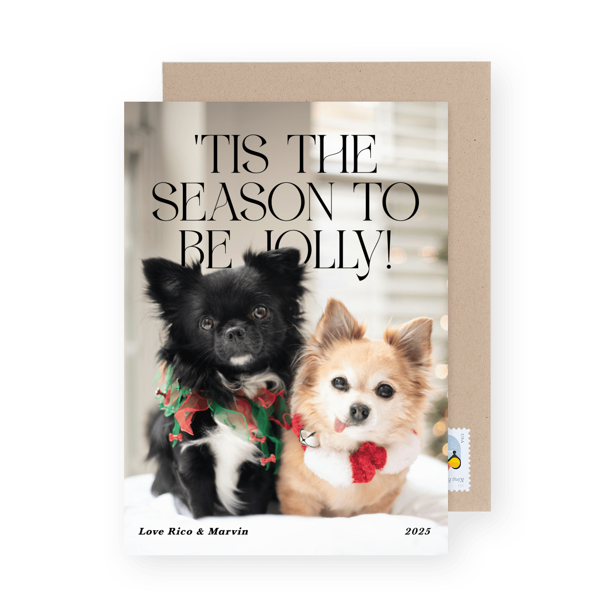 'Tis The Season Pets