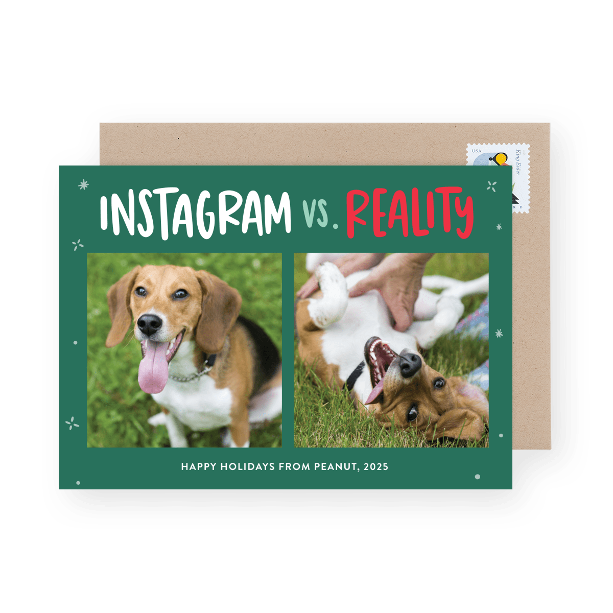 Instagram Vs. Reality Pets