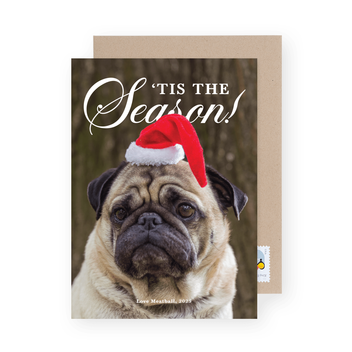 Seasonal Wishes Pets