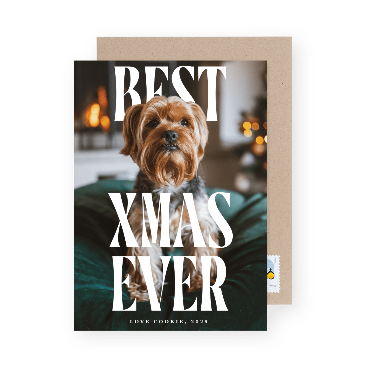 Best Xmas Ever Pets