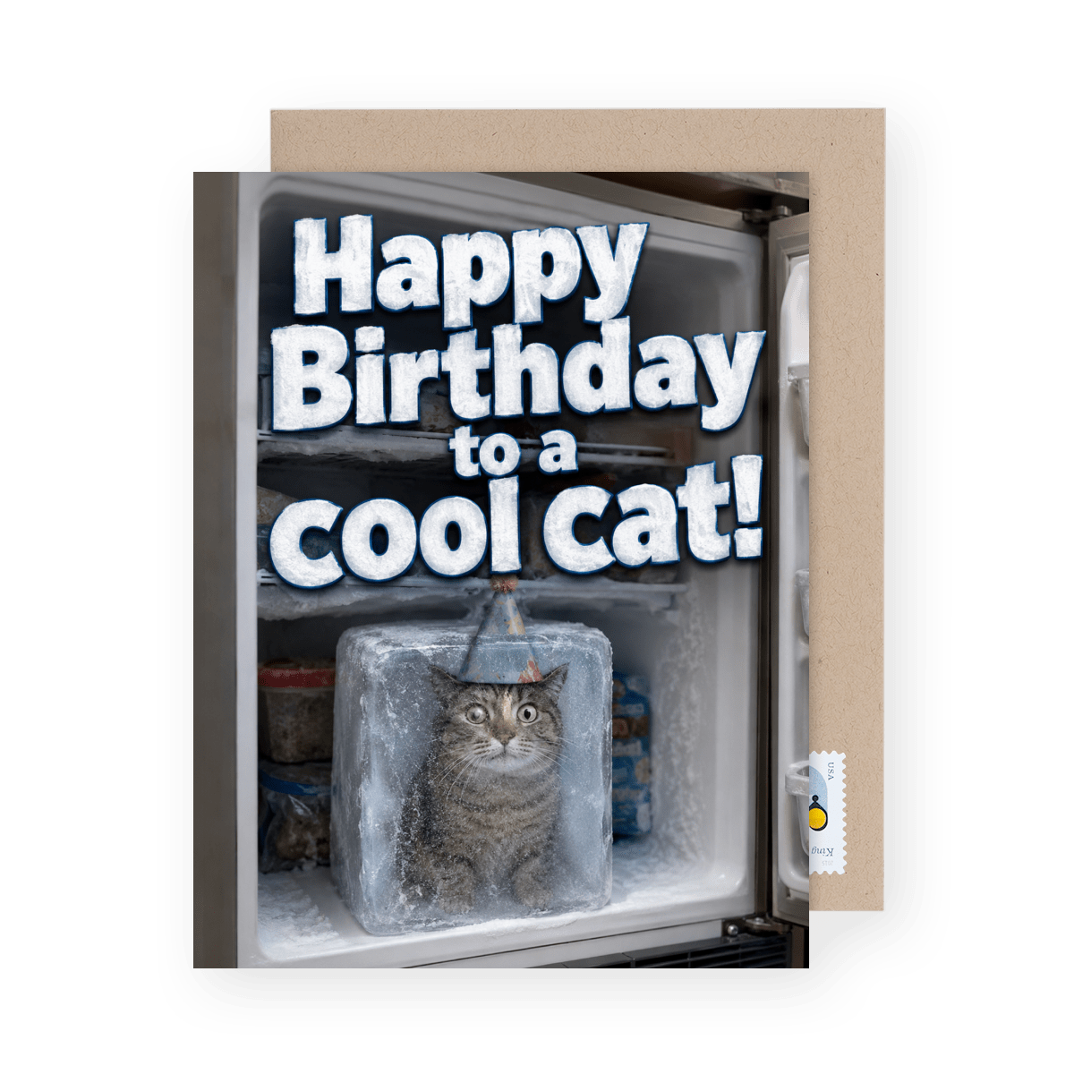 Cool Cat