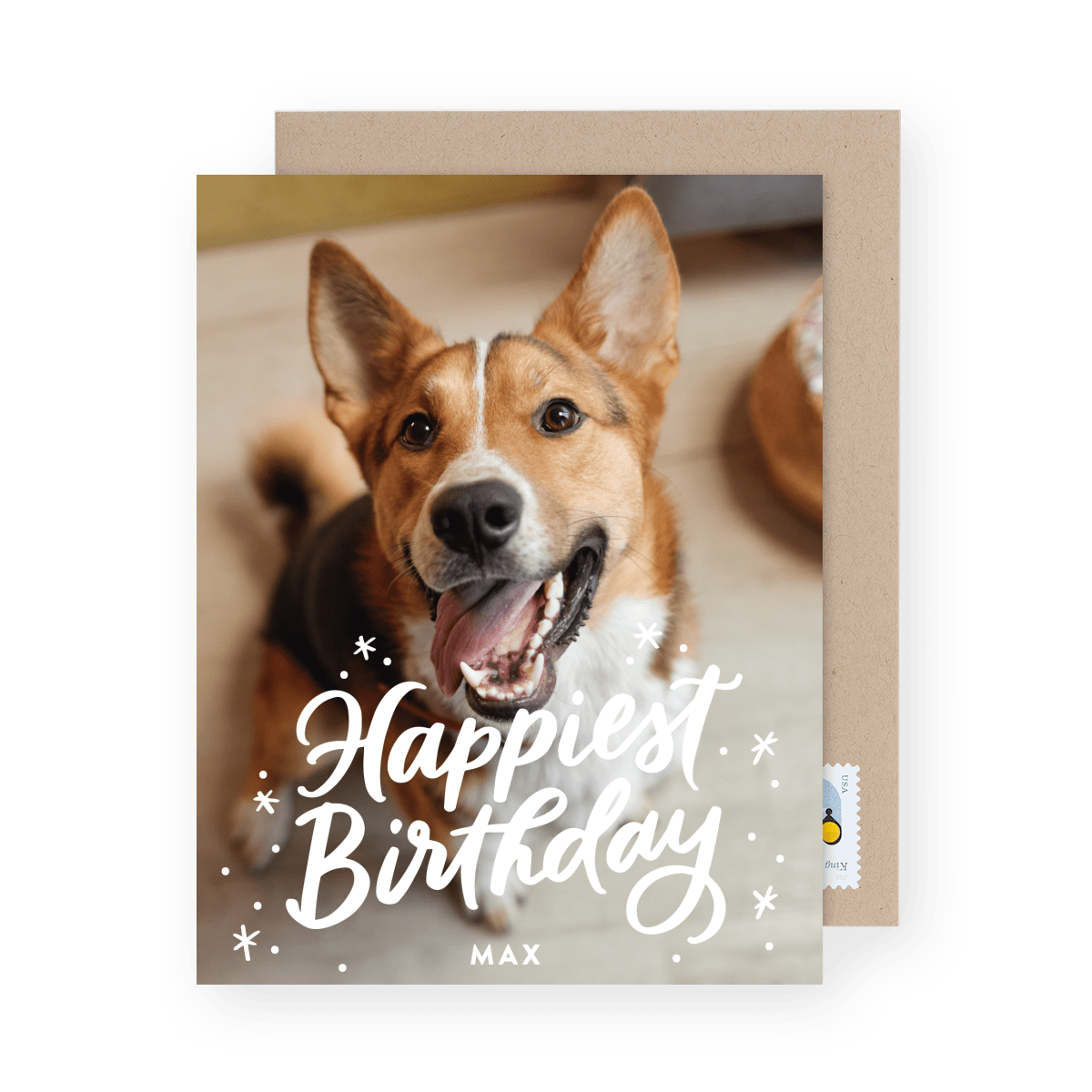 Happiest Birthday Pets