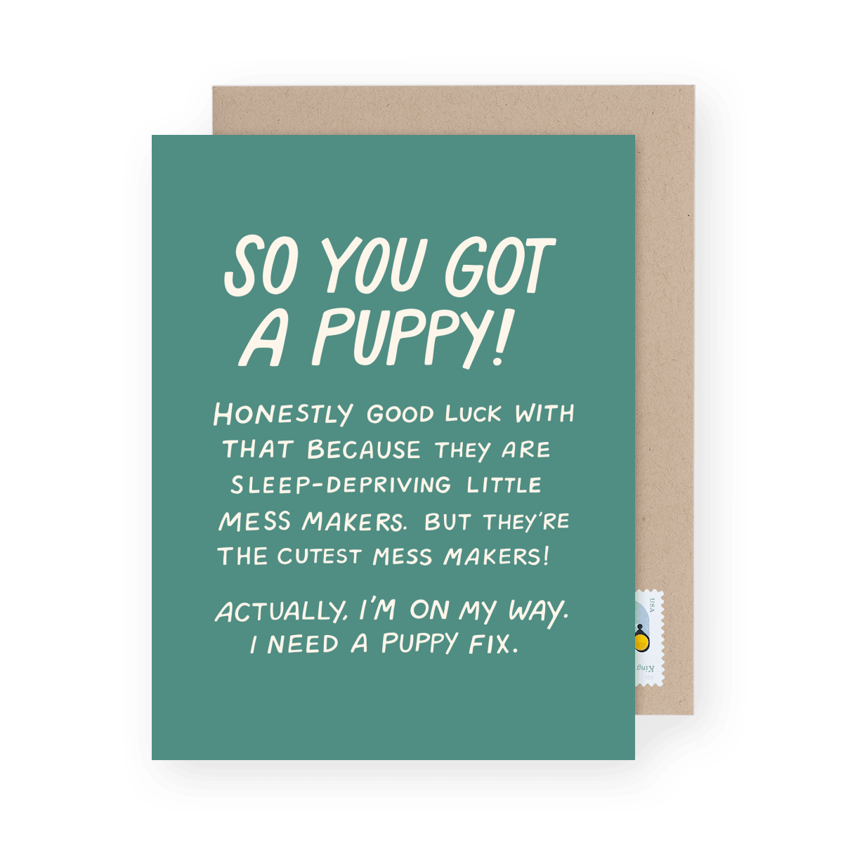 So You Got A Puppy