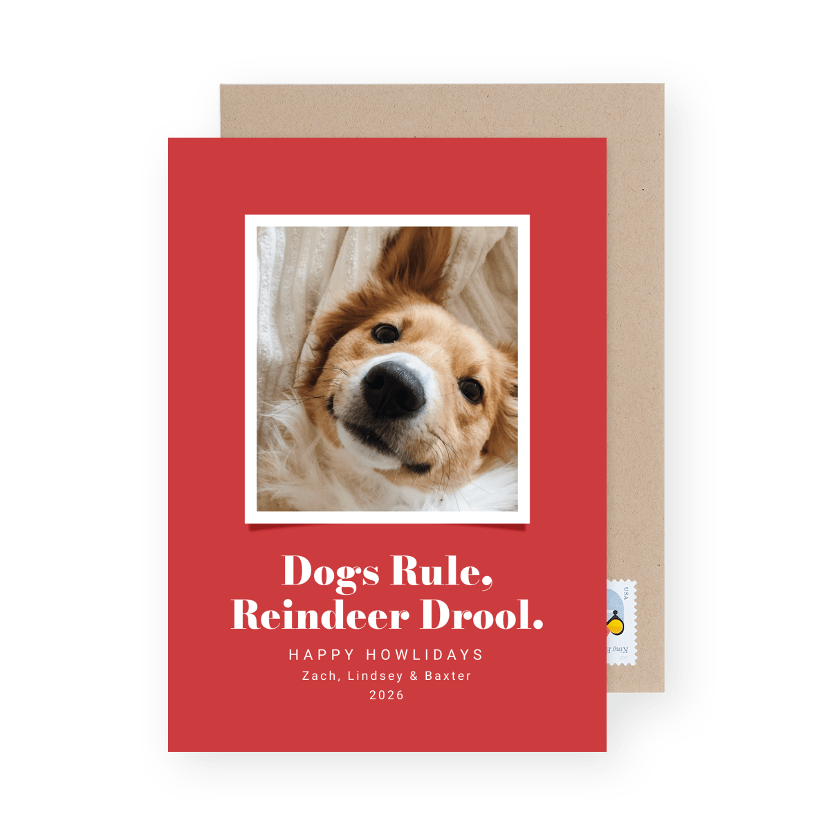 Dogs Rules