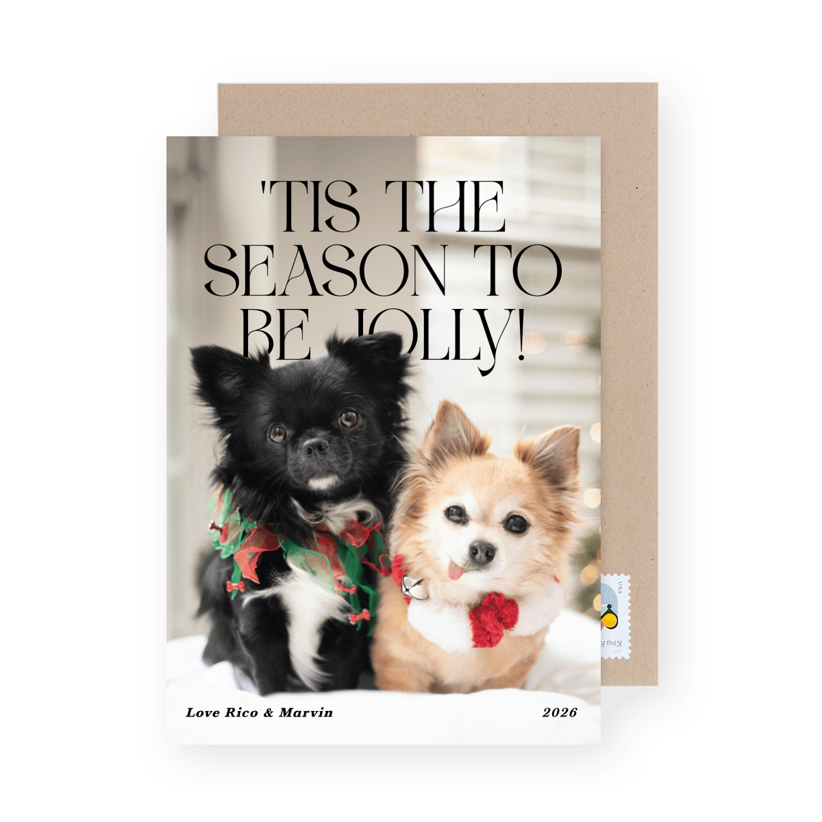 'Tis The Season Pets