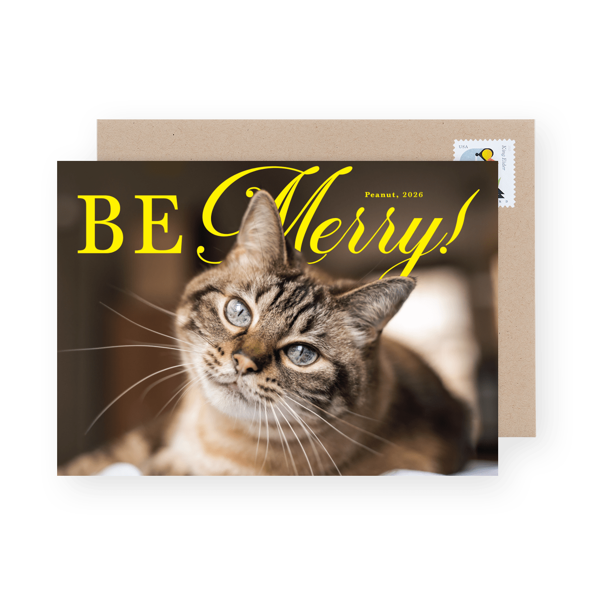Grand Be Merry Pets