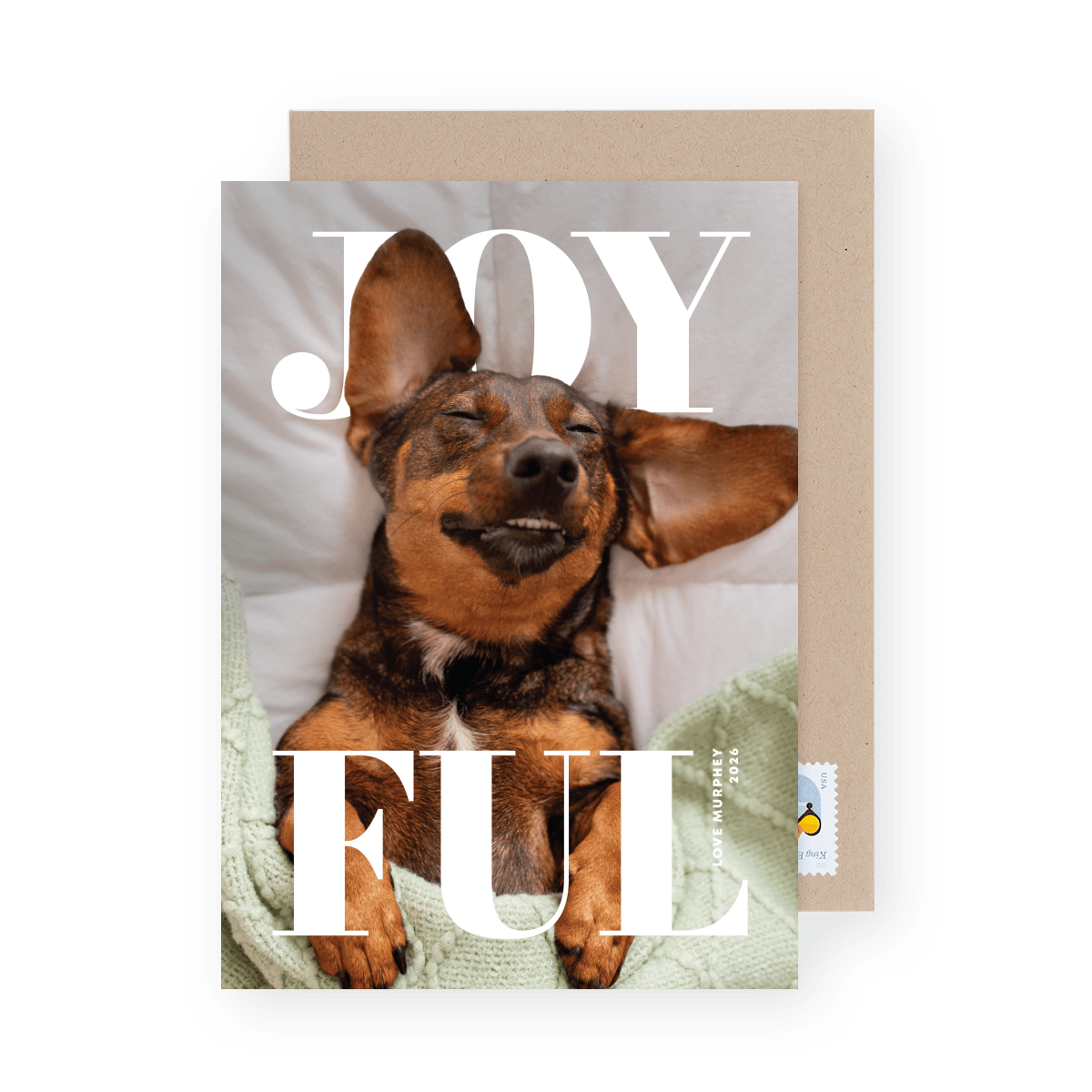 Joyful Stack Pets