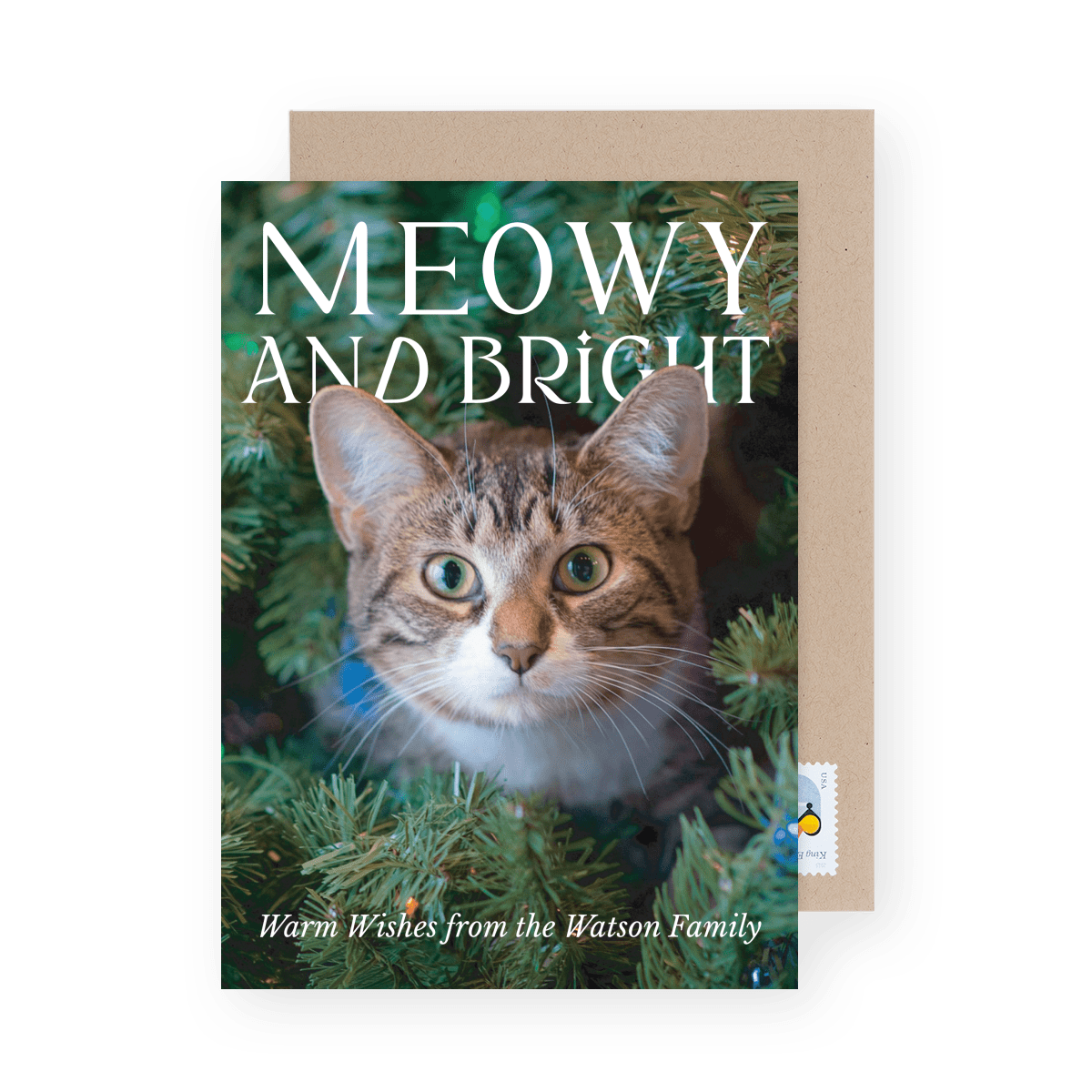 Meowy And Bright Pop Out