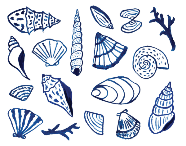 Shells