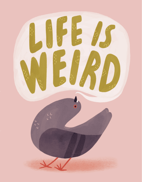 Life Is Weird