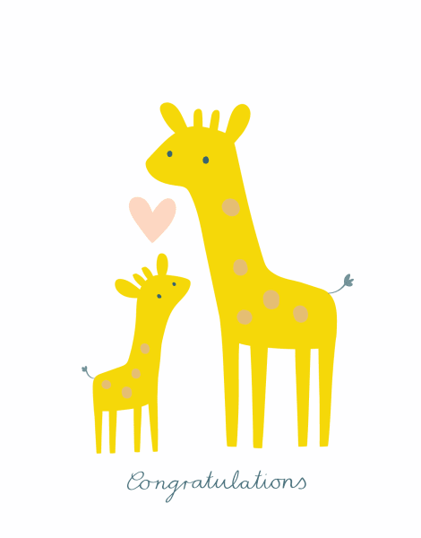 Baby Giraffes 