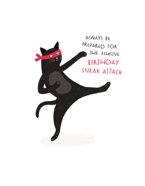 Ninja Cat