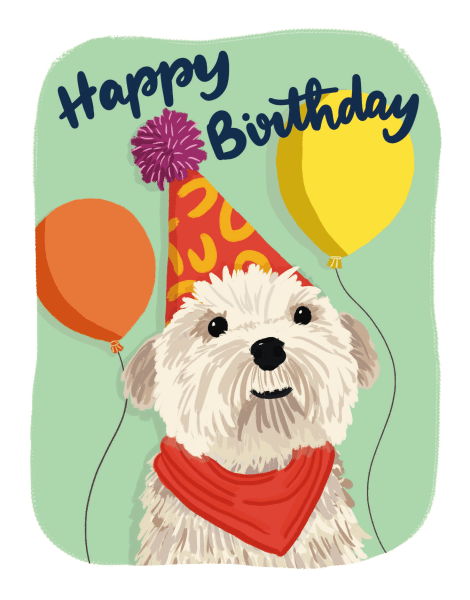 Trendy Dog Birthday