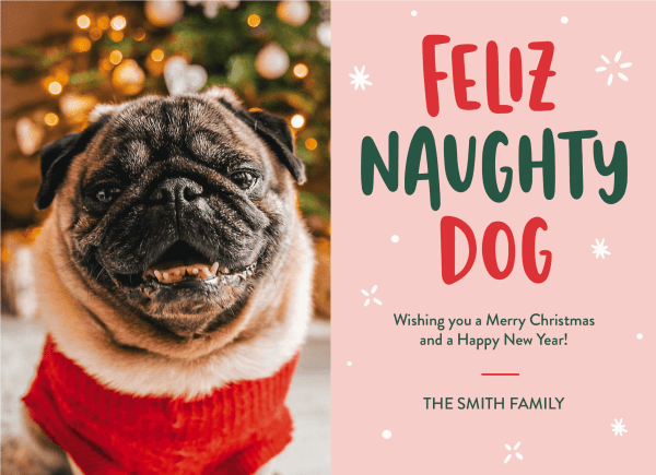 Feliz Naughty Dog