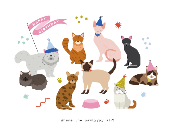 Cat Party