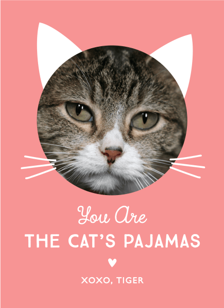 Cat's Pajamas by Postable