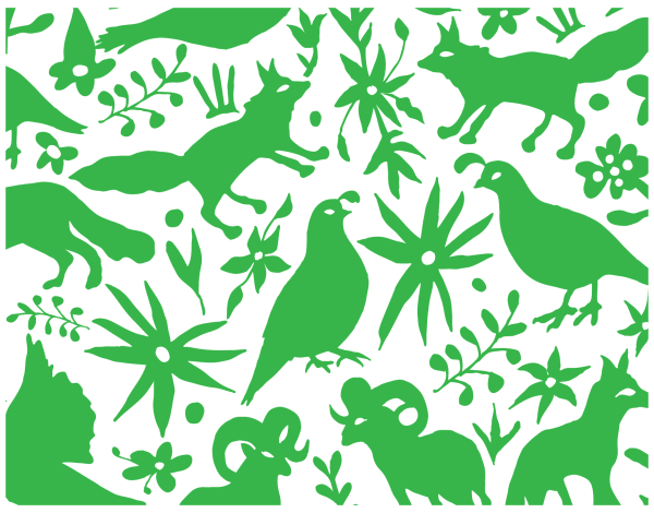 Green Otomi