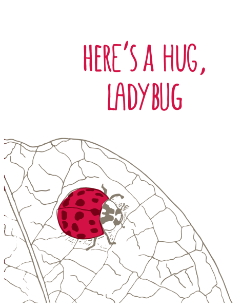 Ladybug