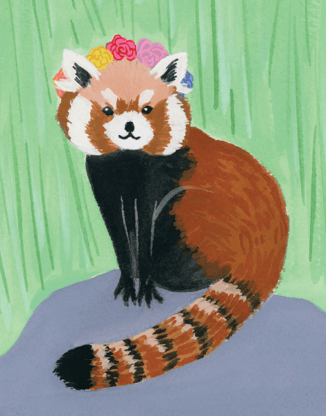 Red Panda