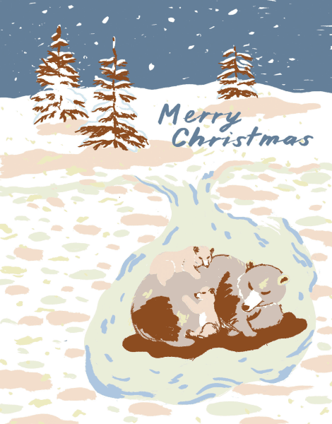 Winter Bears