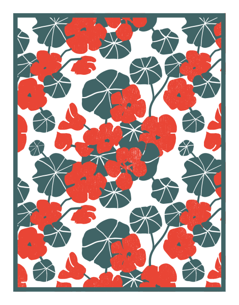 Nasturtiums Red