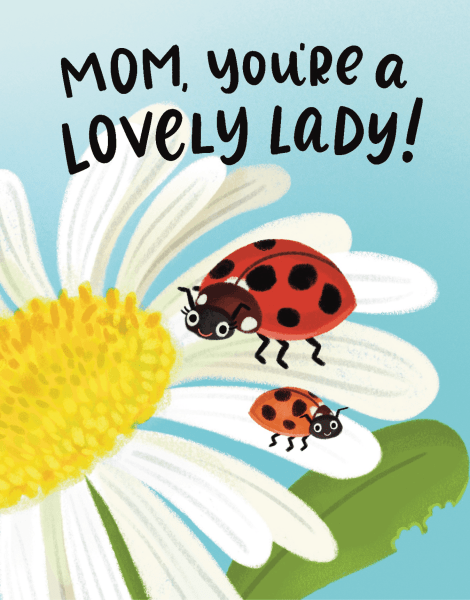 Lady Bug