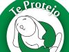 ​Te protejo: ONG líder en Chile y Latinoamérica en contra del testeo en animales