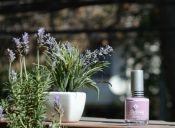 Review: Esmalte Lavender Fields, de Jordana