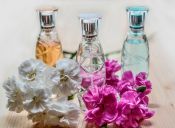 Nuevos perfumes para el verano 2016/2017