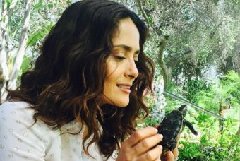 Salma Hayek come insectos, ¿para verse más bella?