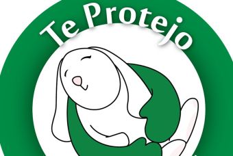 ​Te protejo: ONG líder en Chile y Latinoamérica en contra del testeo en animales