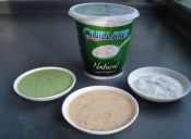 3 Aderezos para ensaladas a base de Yoghurt Natural