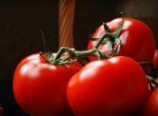 Dato cookcina: ¿Cómo elegir bien los tomates?