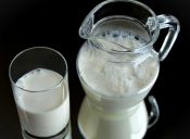 Tipos de leche y su uso en cocina