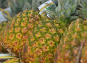 Alimentos saludables: La Piña
