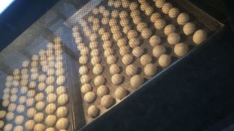 Galletas Bolitas con Azúcar y Canela