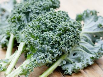 Conoce las propiedades y beneficios del Kale