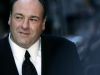 A dos meses de su muerte, hoy recordamos a James Gandolfini