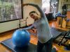 Los beneficios del Pilates durante el embarazo