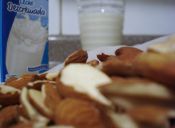 ¿Cansada de la leche de vaca?: Conoce las mejores alternativas (Receta)