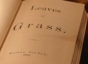 Libros que quiero leer en verano: Leaves of Grass, Walt Whitman