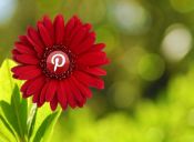 Pinterest en tu celular: útil, divertido e inspirador