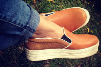 Tendencia: Panchas