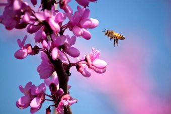 ¿Qué podemos esperar de la primavera?