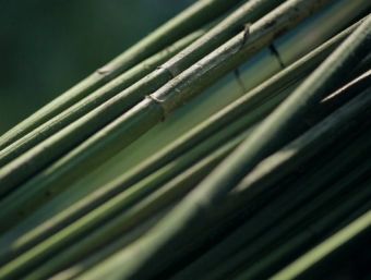 Reviviendo el vestuario tradicional de cáñamo