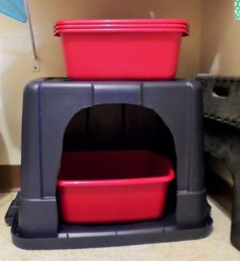 Cajas de arena especiales para tu gato - Mascotadictos