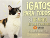 Fundación Adopta te invita a una nueva jornada de adopción