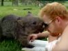 Curioso Wombat Juega con un Humano (video)